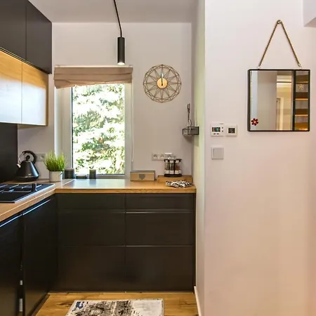 Rent Like - Dom Biatlon Apartment Koscielisko