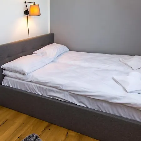 Rent Like - Dom Biatlon *